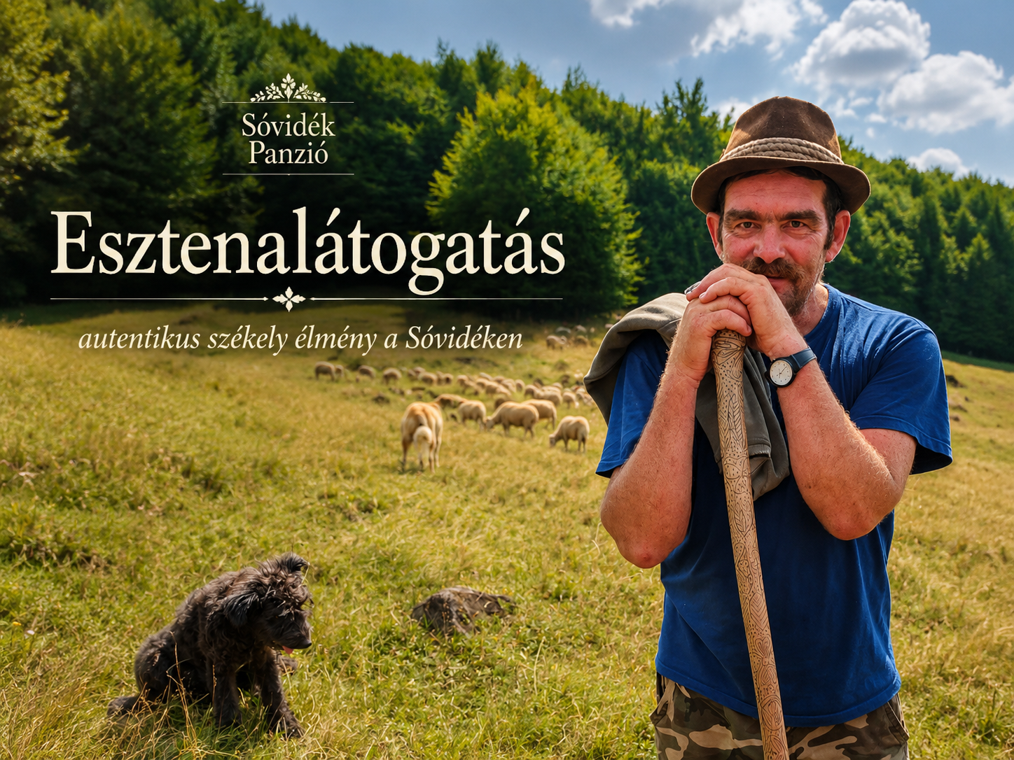 Esztenalátogatás terepjáróval – sajtkóstoló és pásztorélet a Sóvidéken